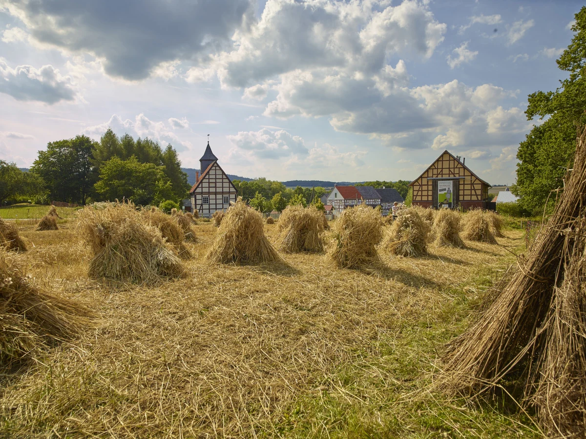 Freilichtmuseum Hessenpark; Foto: Michael Himpel